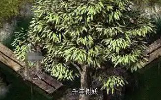 传奇新服 传奇新服